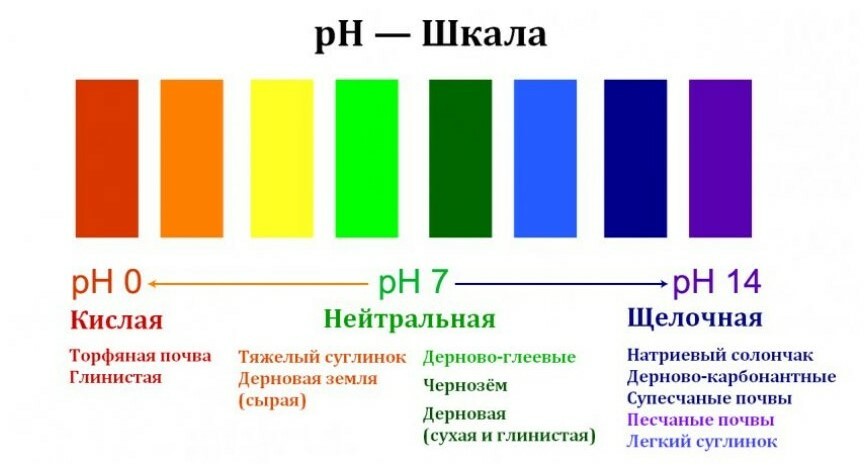 Определение pH в почвенных растворах